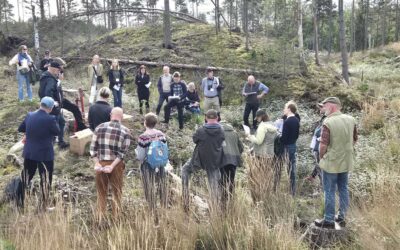 Forest Academy, i år i Södermanland