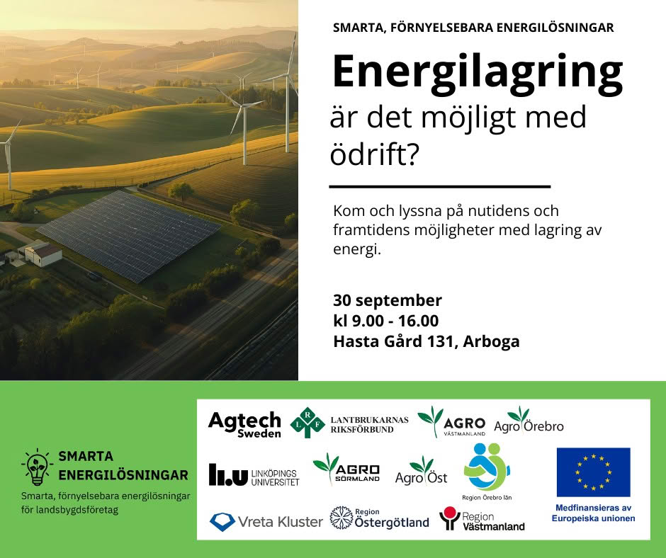 Är energilagring nyckeln till framtidens ödrift?