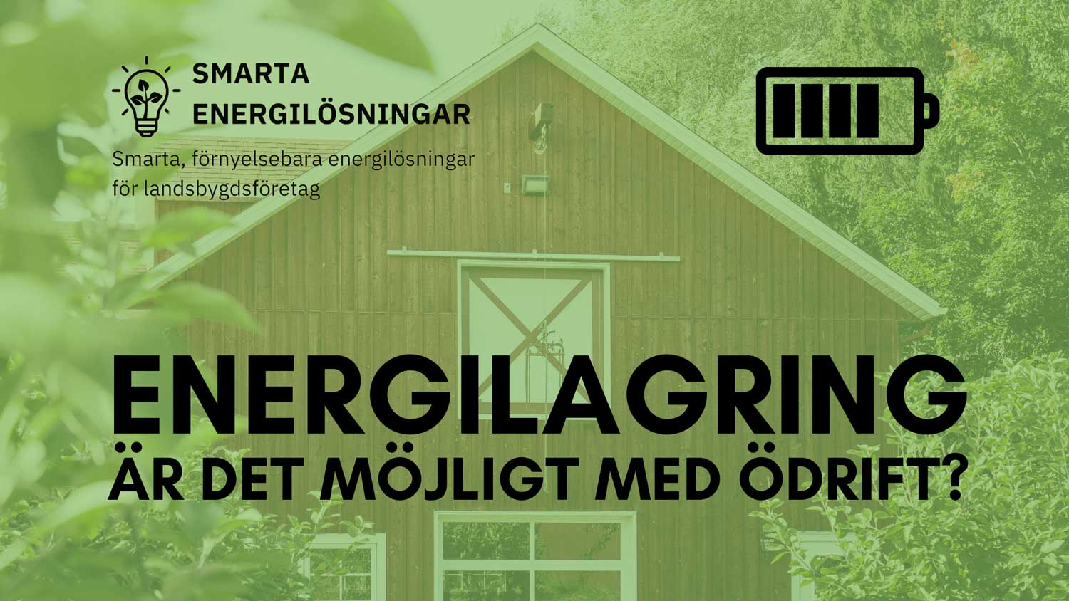 Är energilagring nyckeln till framtidens ödrift?