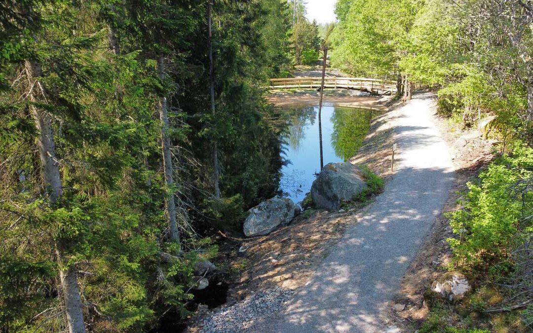 Samla vatten i skogen