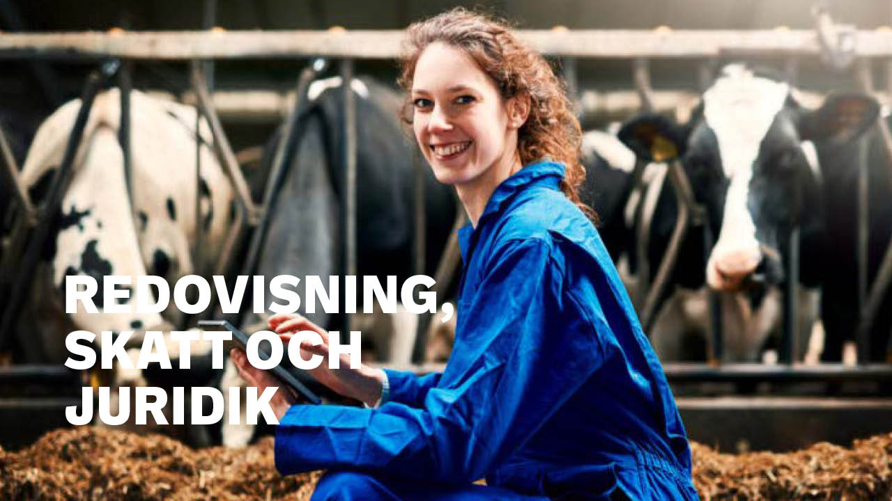 Redovisning, skatt och juridik