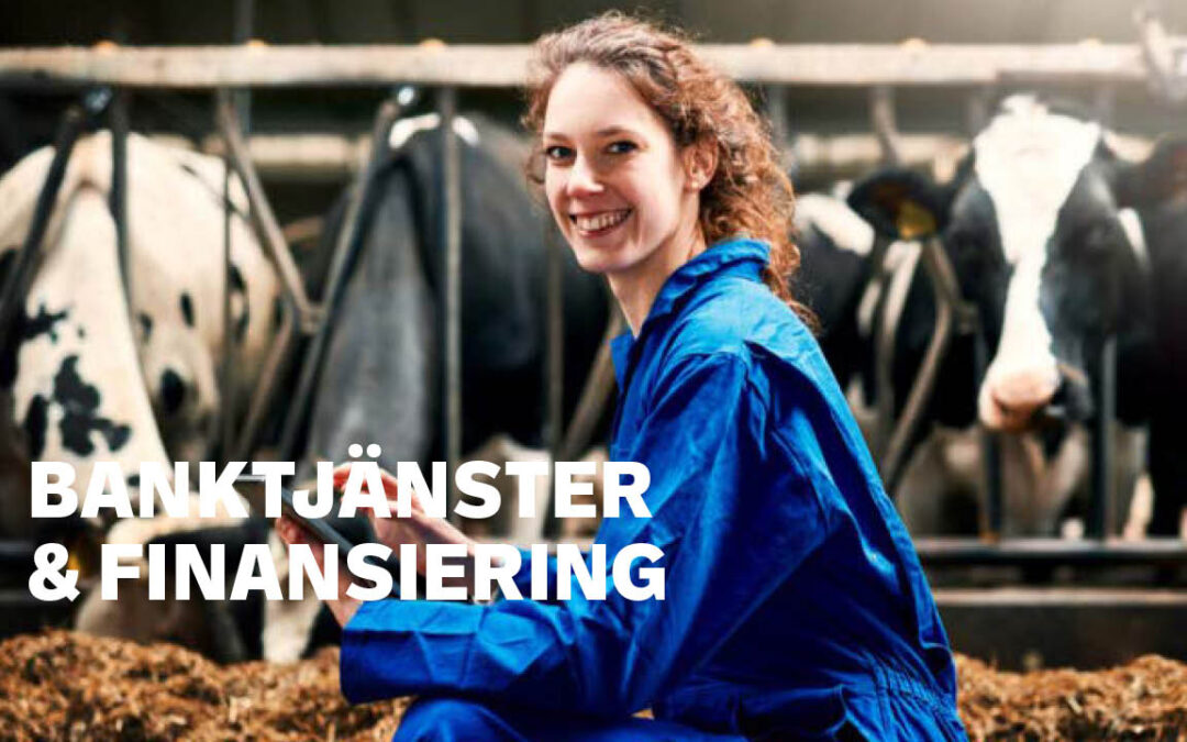 Unga markägare – Finansiering och hur fungerar virkesmarknaden?