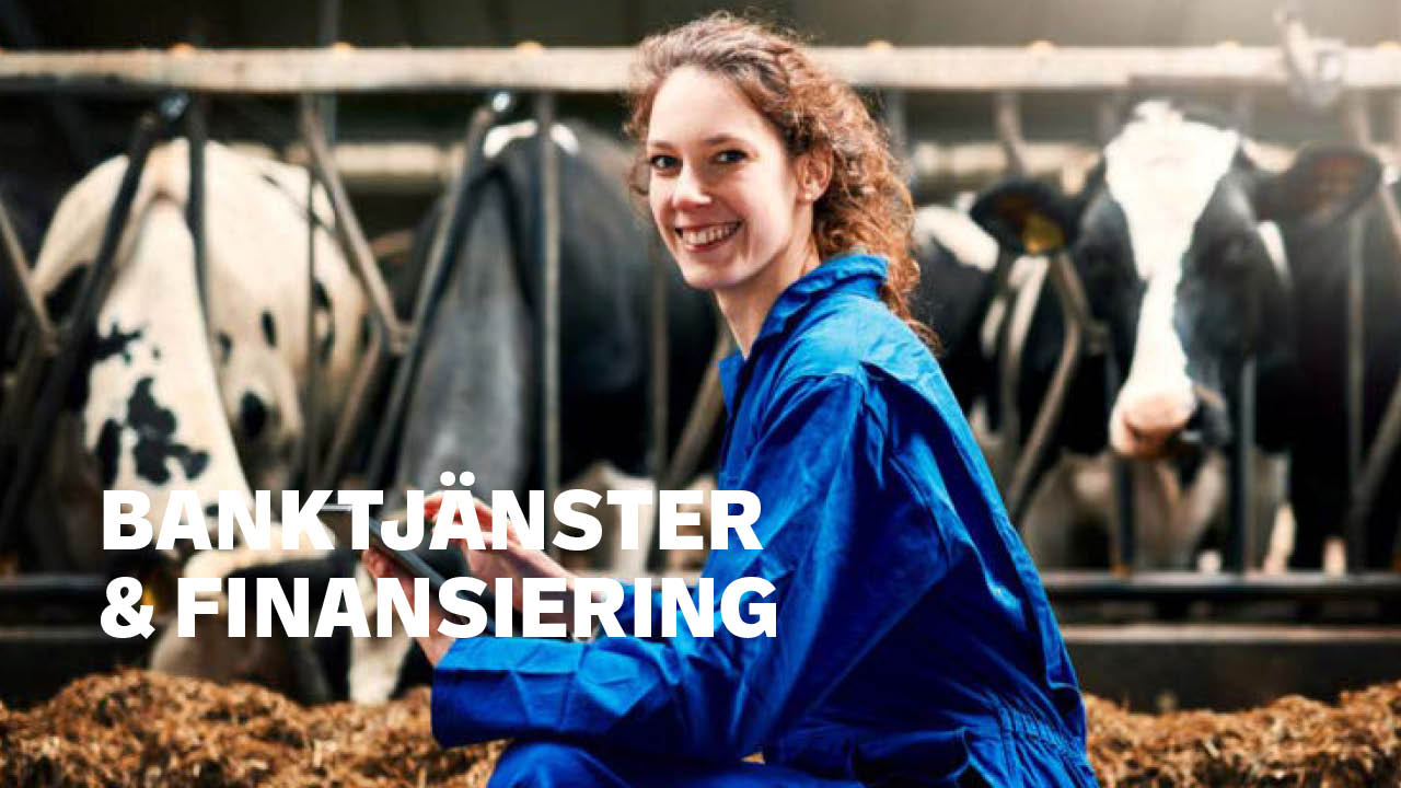 bank, finansiering, virkesmarknad