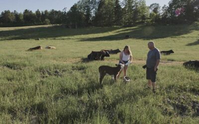 Frukostsamtal – Framtidens lantbruk – lönsamhet, hälsa och generationsskifte