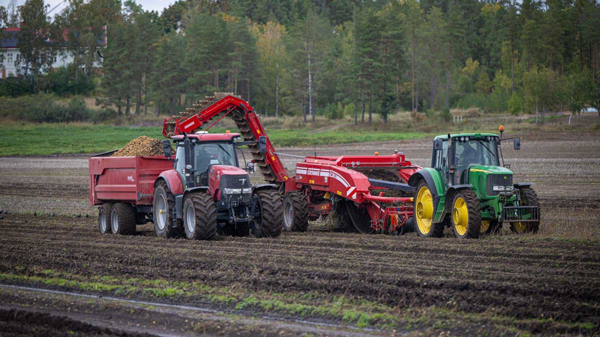 Snabbkurs i lantbruk för storkökskockar
