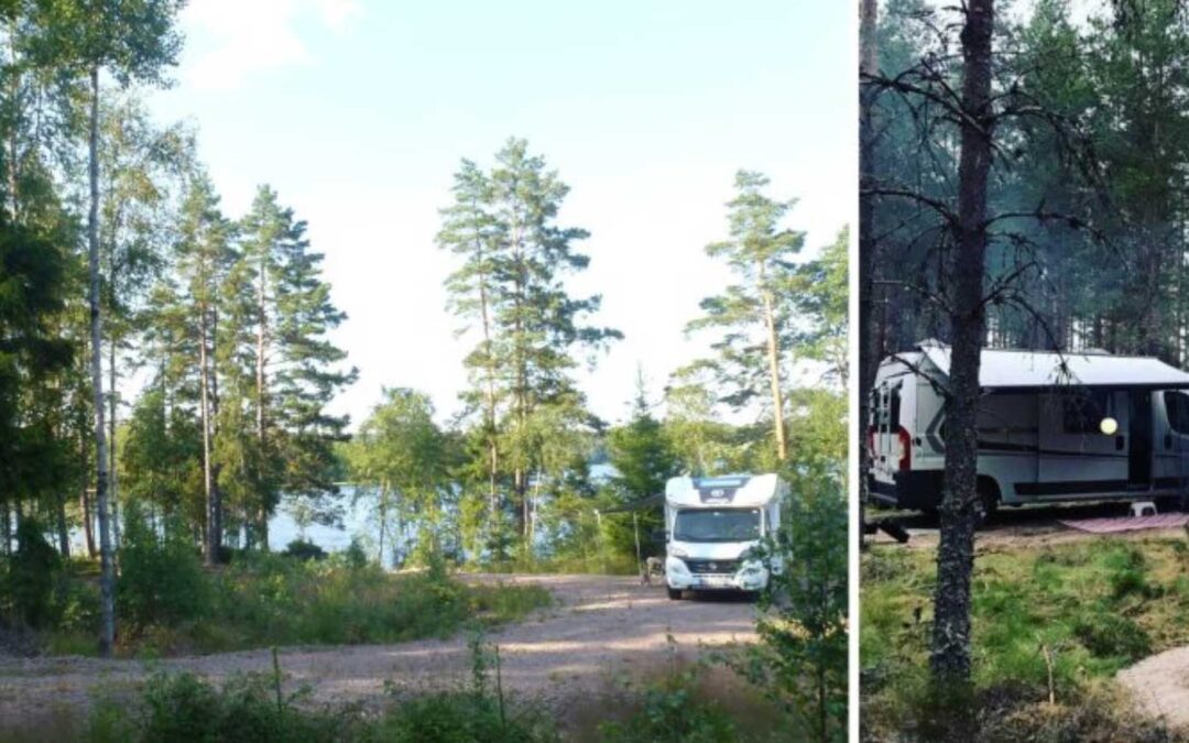 Affärsverksamhet inom turism för dig som skogsägare?