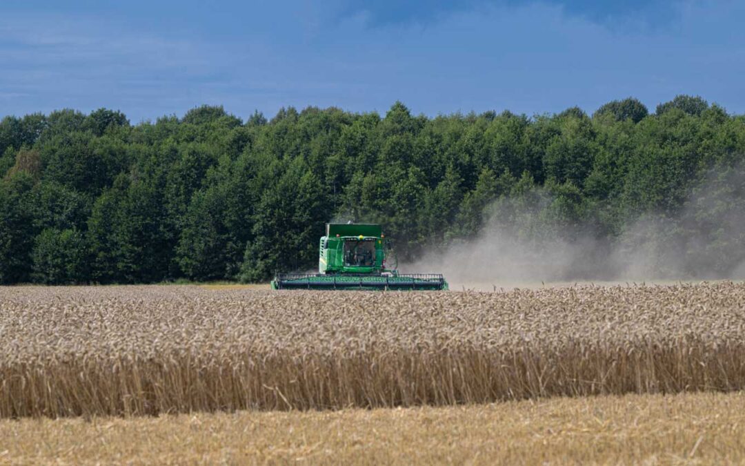 Cirkulär biogödsel främjar robust inhemsk matproduktion – men hur kan affärsmodellerna se ut?