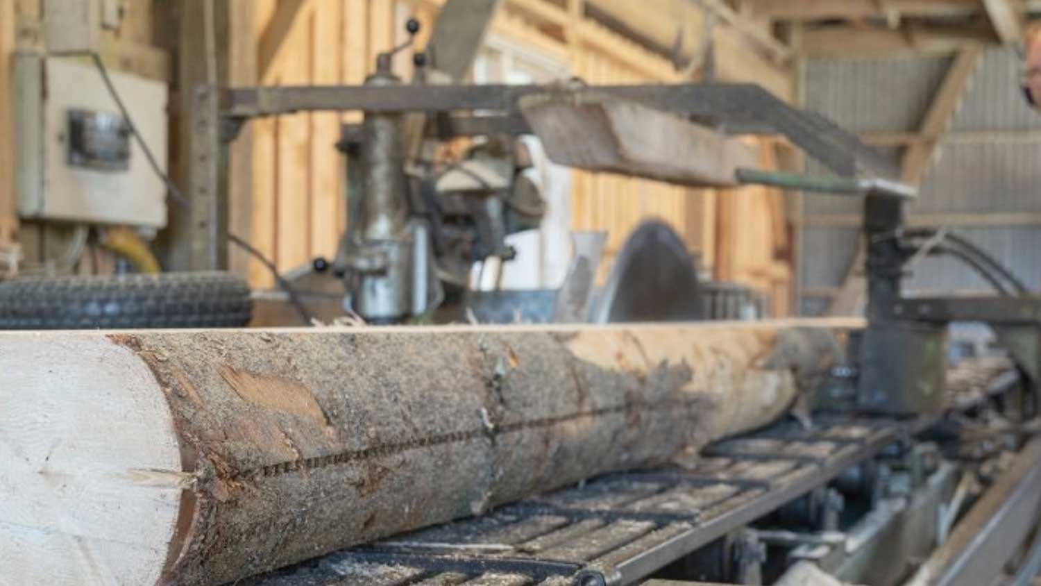 Småskalig träförädling i praktiken