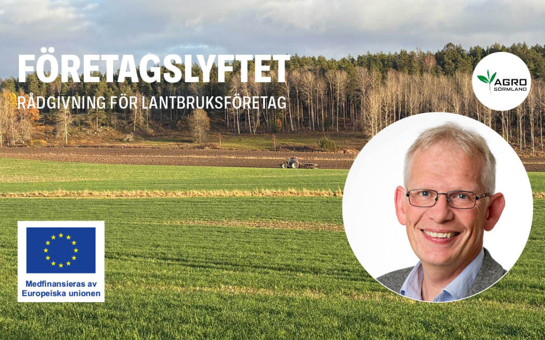 Företagslyftet rådgivning med Jakob Söderberg