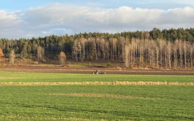 Nytt uppdrag – Företagslyftet