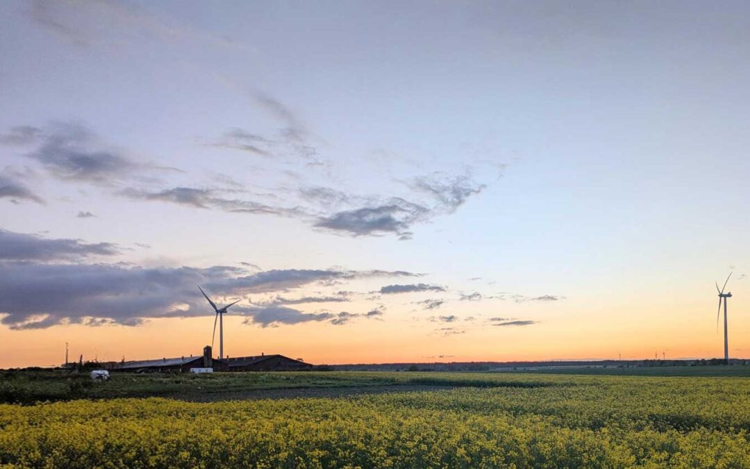 Studiebesök till den robusta gården i praktiken