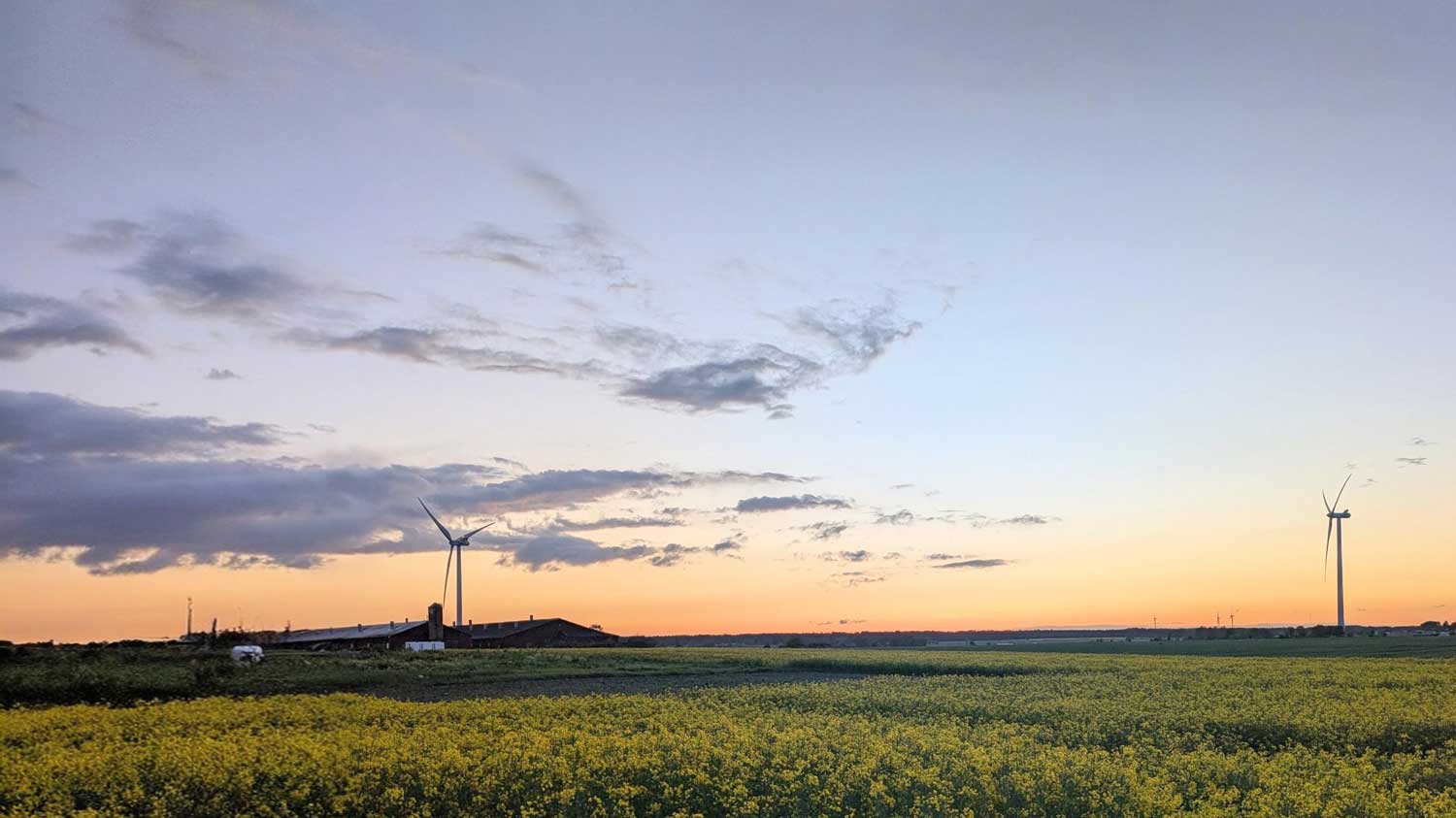 Studiebesök till den robusta gården i praktiken
