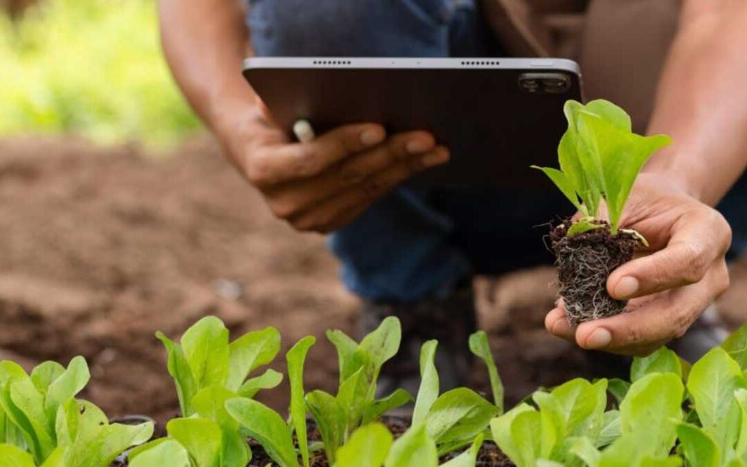 Praktiskt ledarskap för arbetsledare i lantbruk och trädgård, del 2