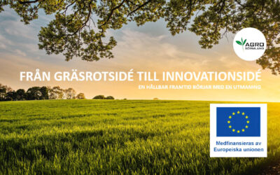 Start för Från Gräsrotsidé till Innovationsidé, steg 2