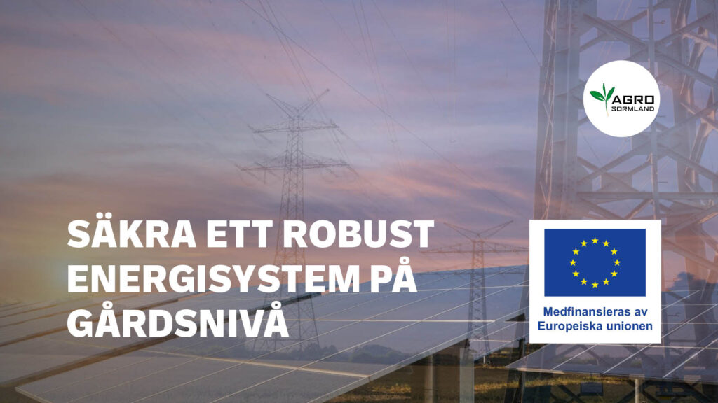 Så säkrar du ett robust energisystem på gårdsnivå – Dynamisk effekt, energibalansering, ö-drift och balanstjänster