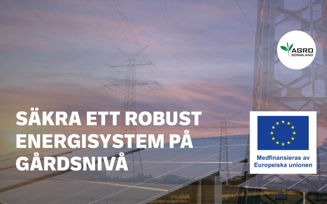 Säkra ett robust energisystem på gårdsnivå