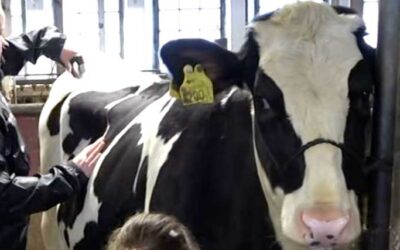 Kosseklipp UF uppmärksammade av media