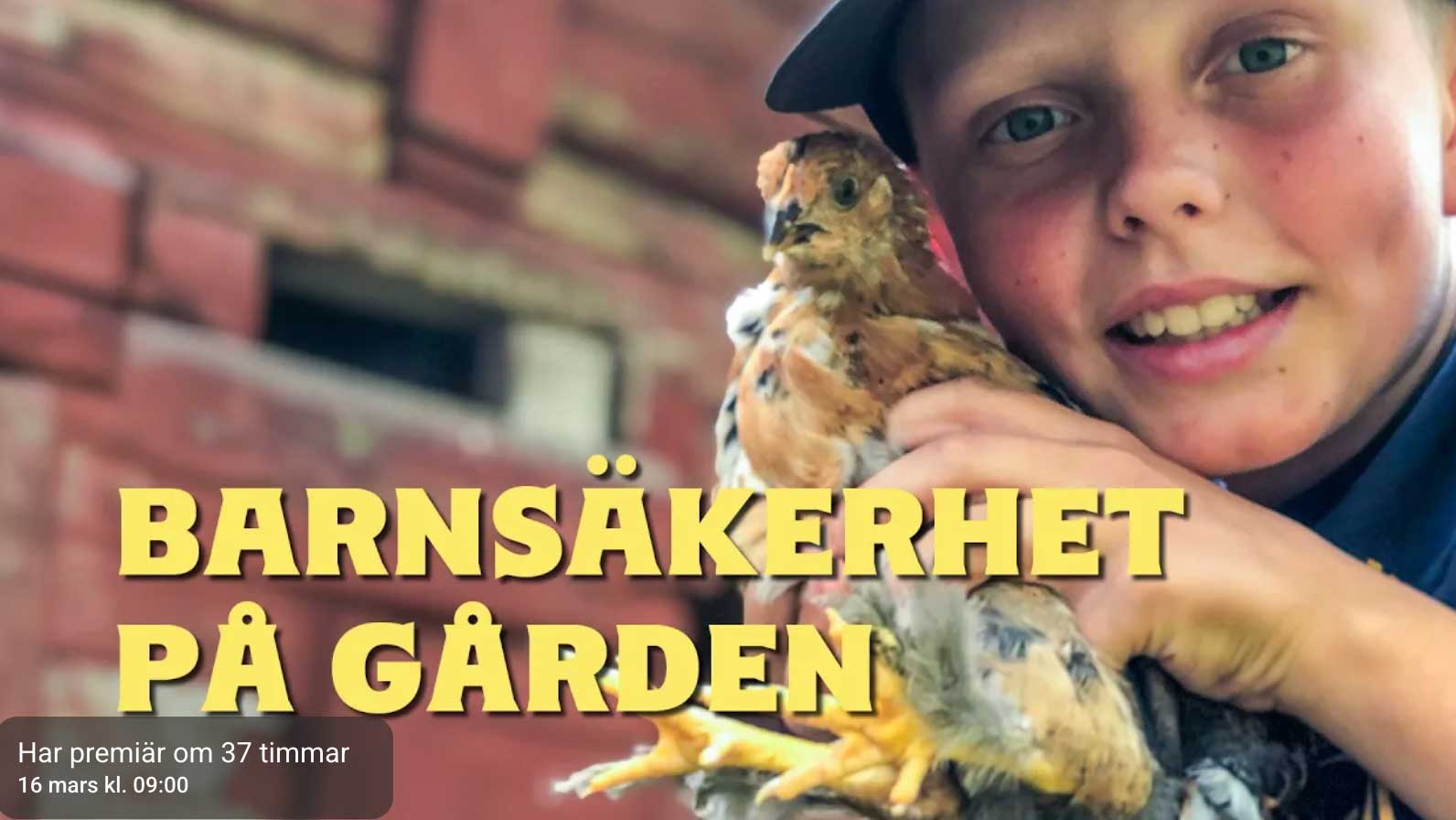 Barnsäkerhet på gården – del 1 i årets arbetsmiljövecka