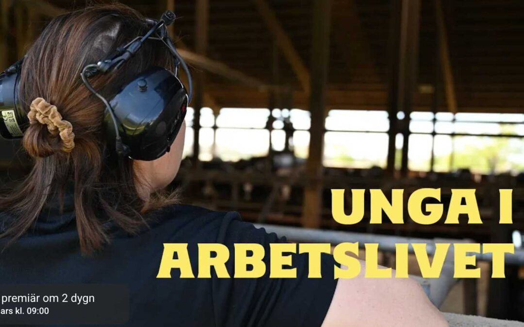 Unga i arbetslivet – del 2 i årets arbetsmiljövecka