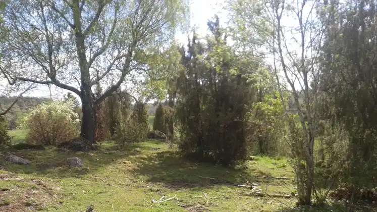 Webbinarium – skötsel av betesmark