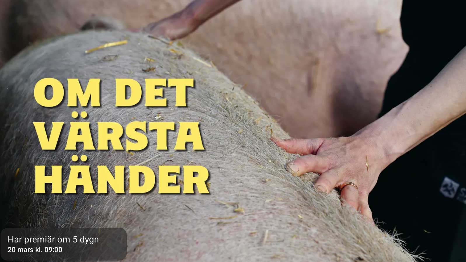 Om det värsta händer? – del 4 i årets arbetsmiljövecka