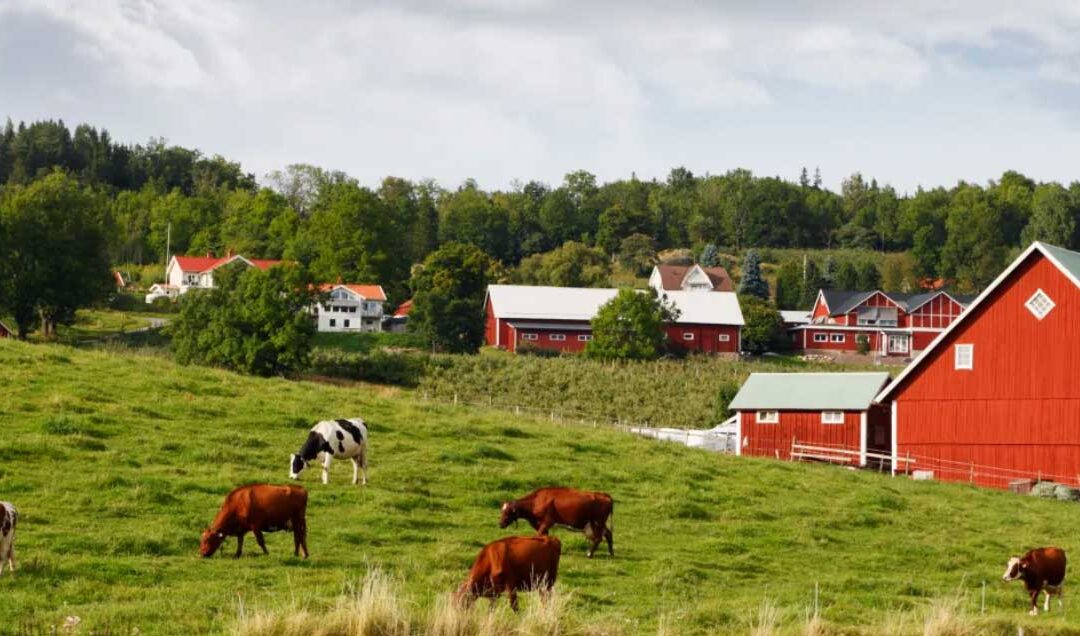 Rapport klar från AgroDrive workshop