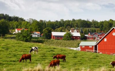 Rapport klar från AgroDrive workshop