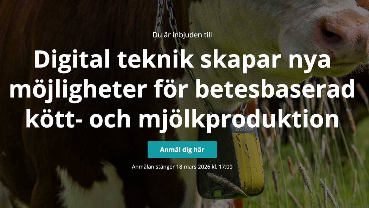 Digital teknik skapar nya möjligheter för betesbaserad kött- och mjölkproduktion
