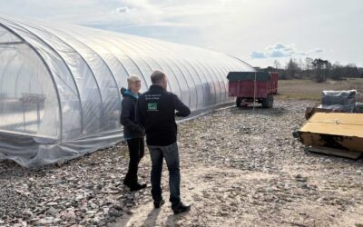 “Vi har fantastiska förutsättningar att odla fina grönsaker här”