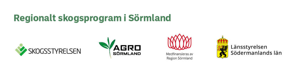 RSIS logobanner NY