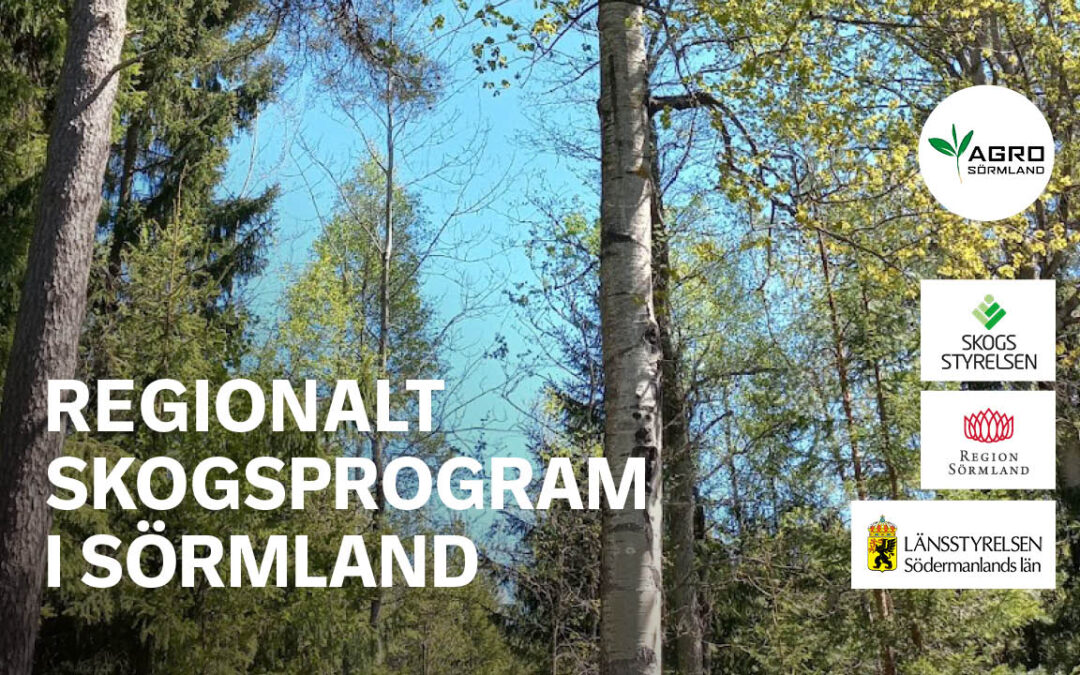 Årskonferens Regionalt skogsprogram