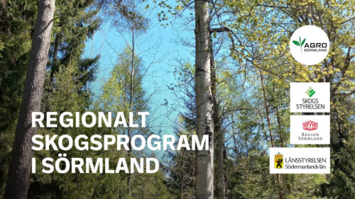 Regionalt skogsprogram Sormland