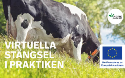 Gårdsträff: Virtuella stängsel i praktiken