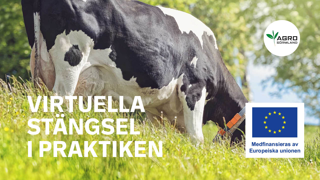 Gårdsträff: Virtuella stängsel i praktiken