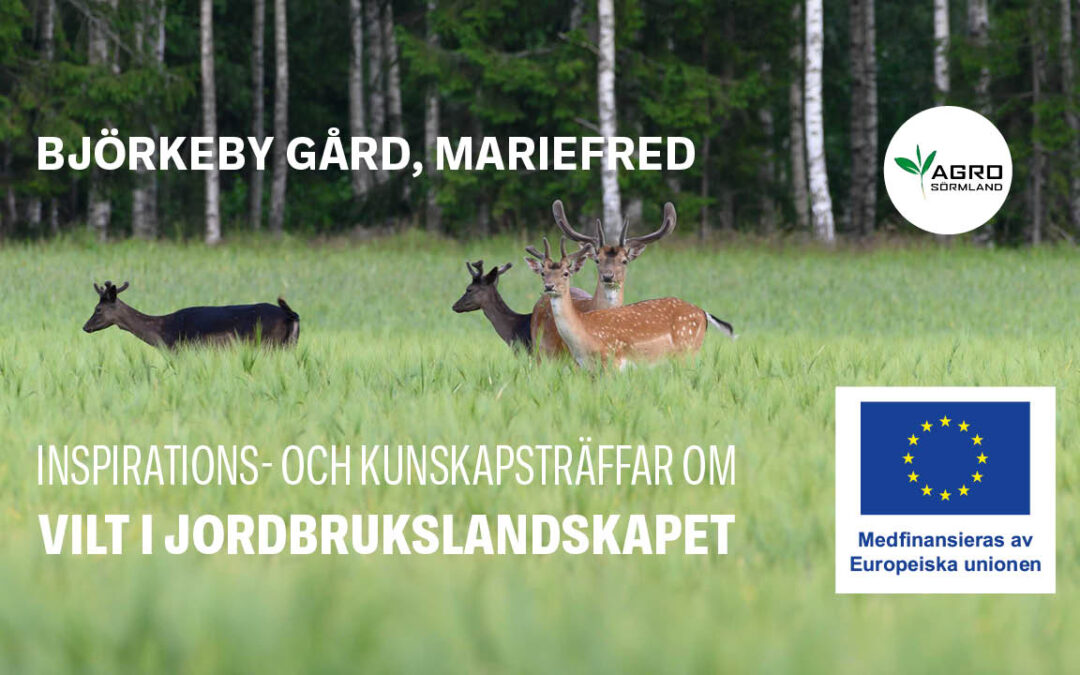 Inspirations- och kunskapsträffar om vilt i jordbrukslandskapet – Mariefred