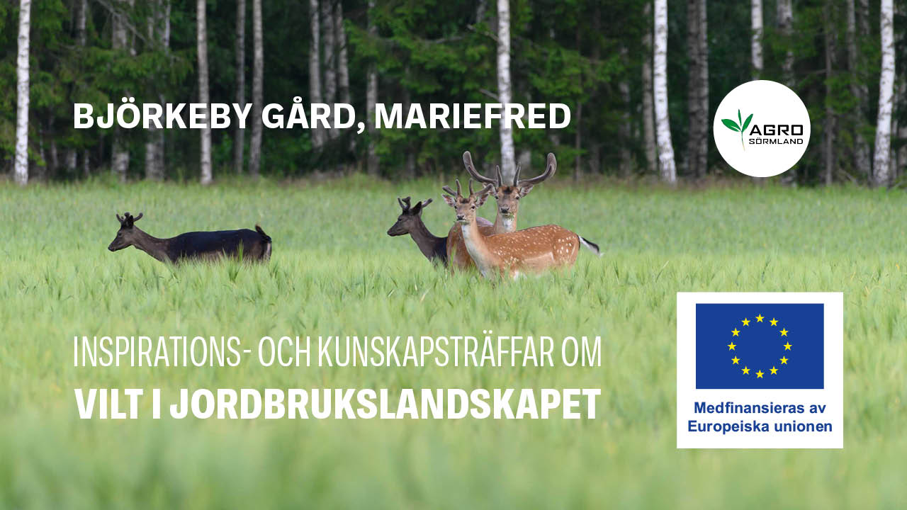 Björkeby Gård, Mariefred