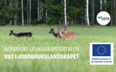 Inspirations- och kunskapsträffar om vilt i jordbrukslandskapet 