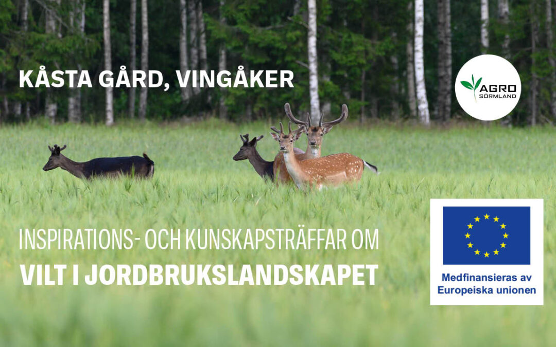 Inspirations- och kunskapsträffar om vilt i jordbrukslandskapet – Vingåker