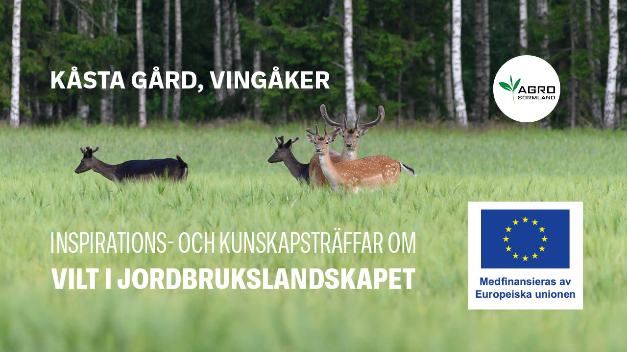 Kåsta Gård, Vingåker