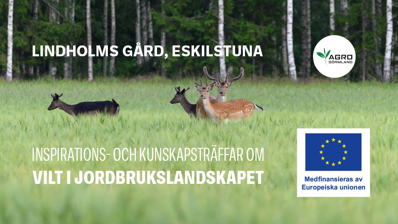 Lindholms Gård, Eskilstuna