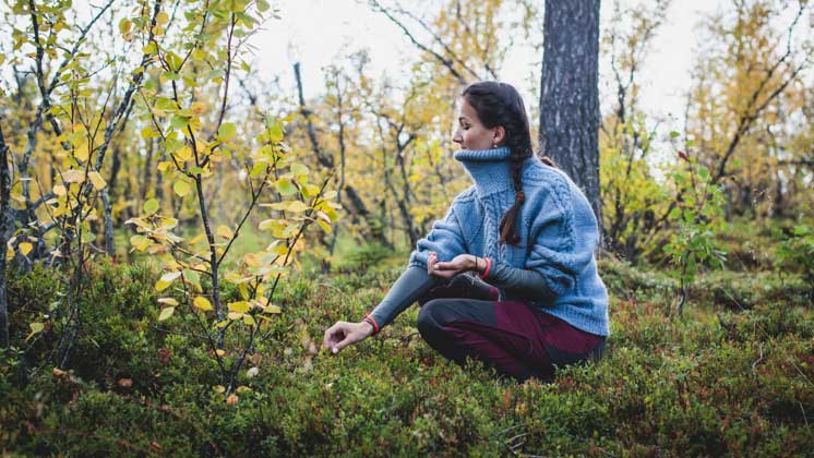 Allemansrätten och markägaren