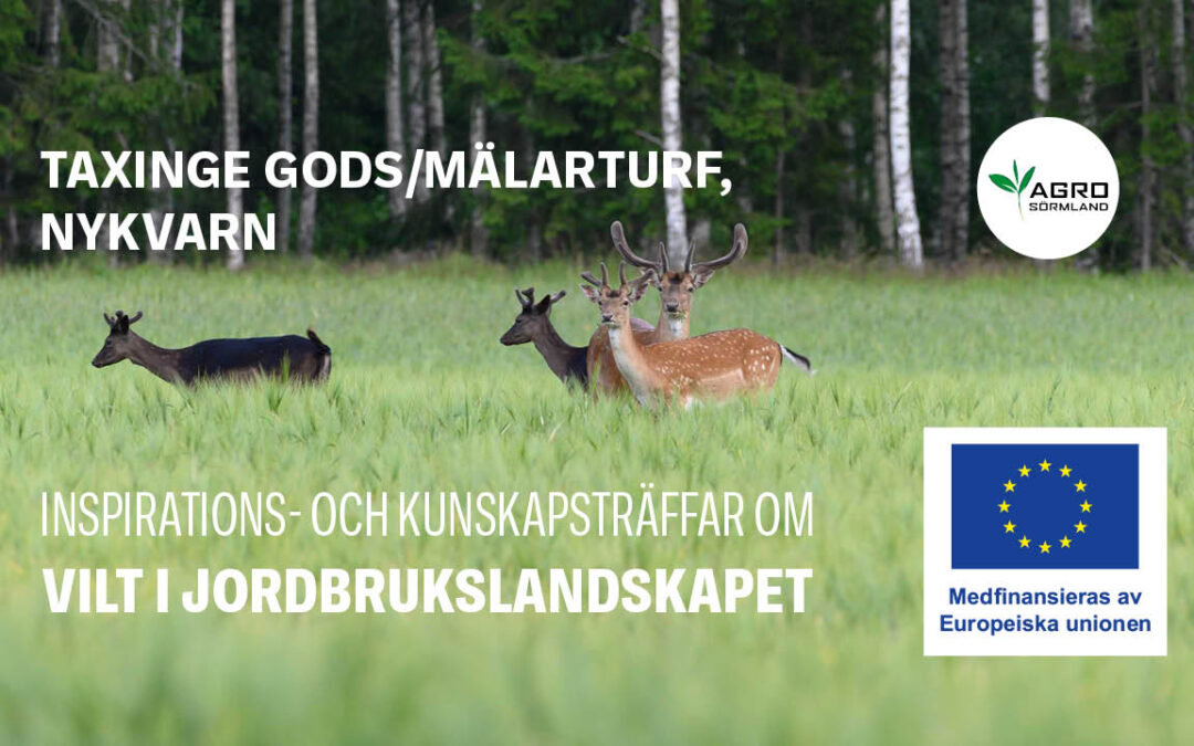 Inspirations- och kunskapsträffar om vilt i jordbrukslandskapet – Nykvarn