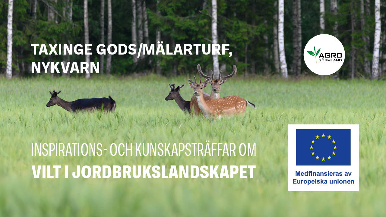 Taxinge Gods/Mälarturf, Nykvarn