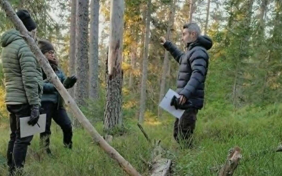 Ekonomi och ekologi i skogen. Ingen ville backa, men alla började lyssna. Och något nytt blev möjligt.