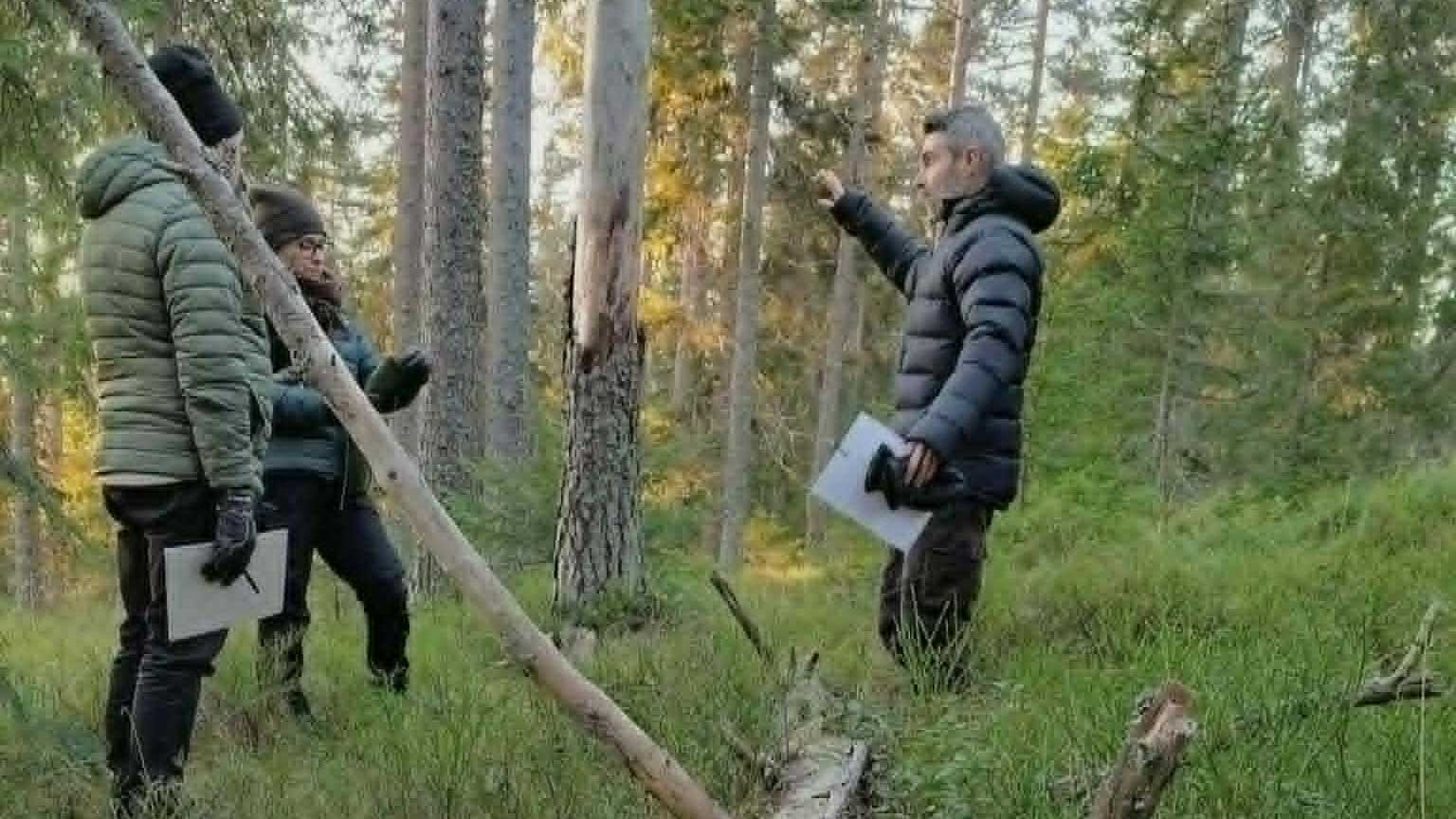 Ekonomi och ekologi i skogen. Ingen ville backa, men alla började lyssna. Och något nytt blev möjligt.