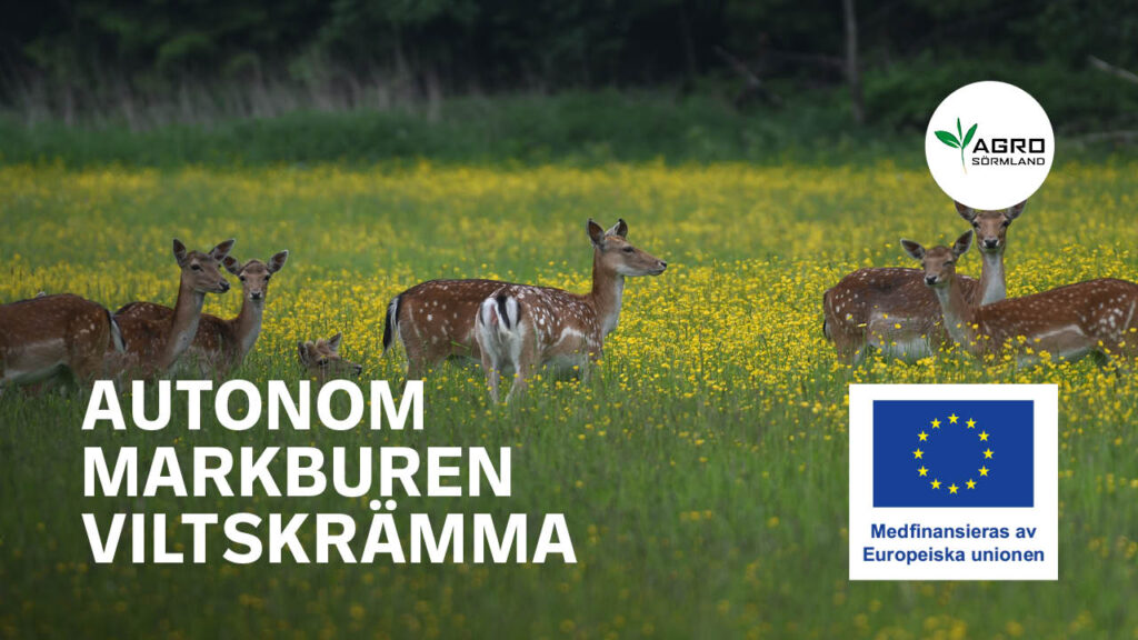 Autonom markburen viltskrämma, Foto: Kenneth Schulze