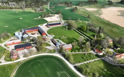 Den ultimata ungdomsträffen – 17 juli