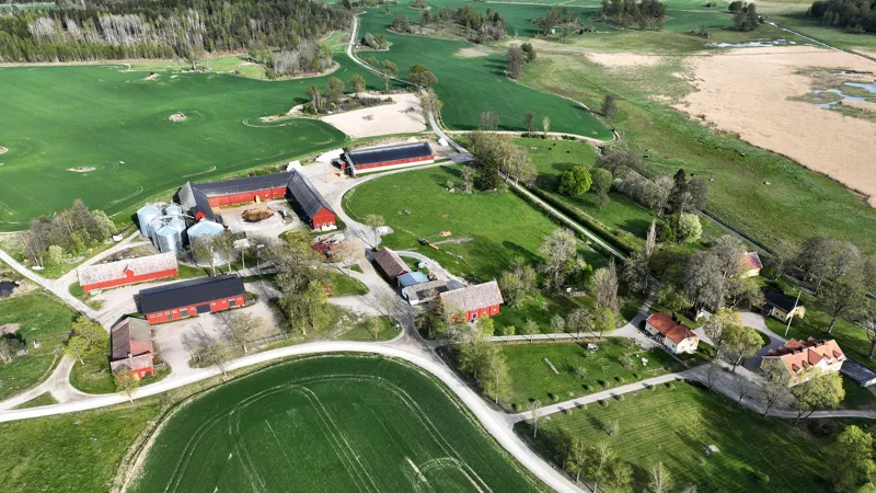 Den ultimata ungdomsträffen
