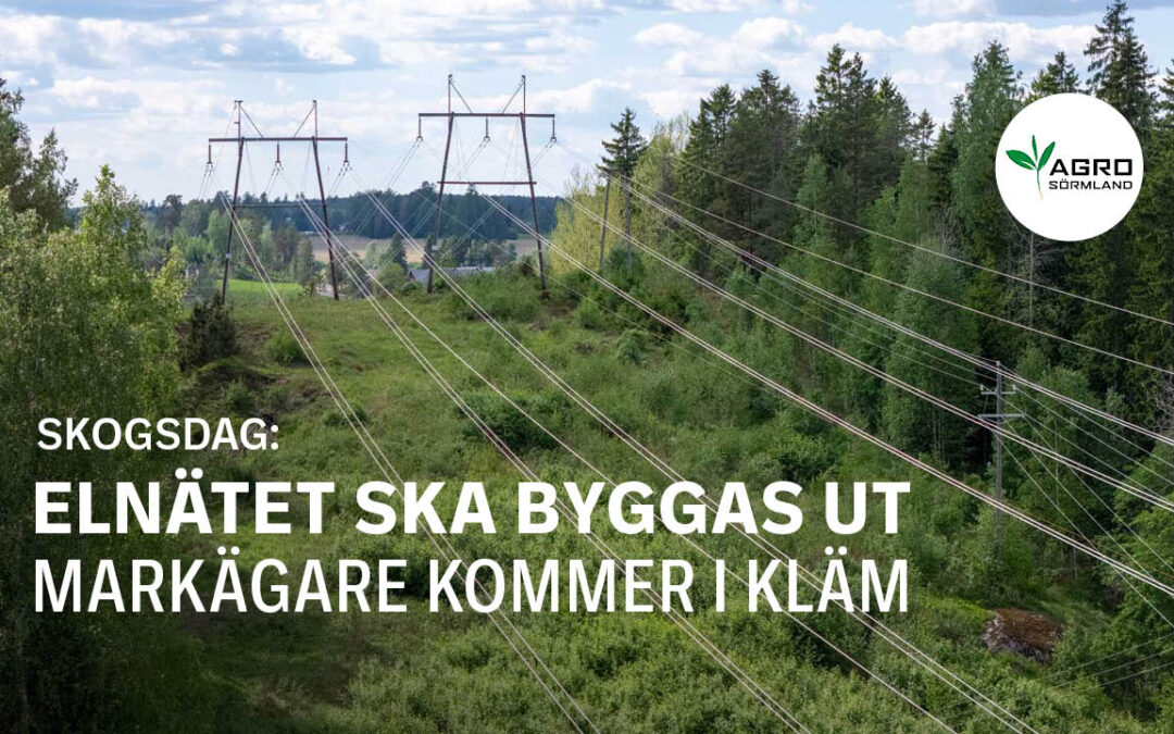 Elnätet ska byggas ut – markägare kommer i kläm