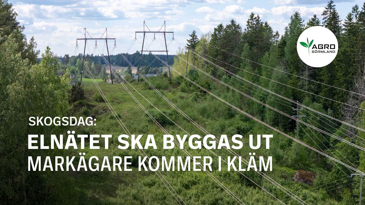 Elnätet ska byggas ut – markägare kommer i kläm